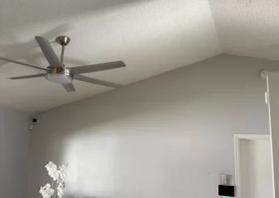 Professional Painter