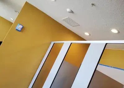 Professional Painter