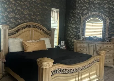 Professional Painter